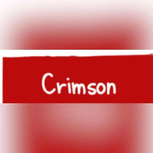 Bebe Red V-Neck Sleeveless Ruffled Wide Leg Back Zip-Up Jumpsuit- Size 6 - Picture 16 of 16